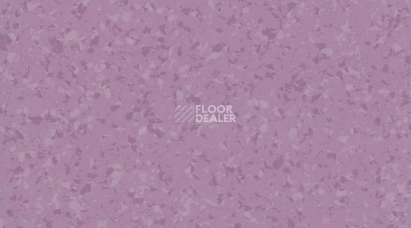 Линолеум Gerflor Mipolam Symbioz 6048 LAVENDER фото 1 | FLOORDEALER
